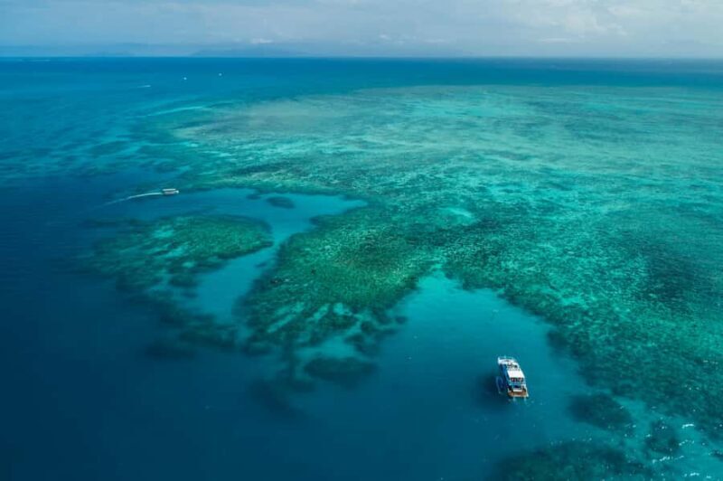 Cairns: Outer and Coral Cay Snorkel and Dive Cruise - Practical Details and Tips