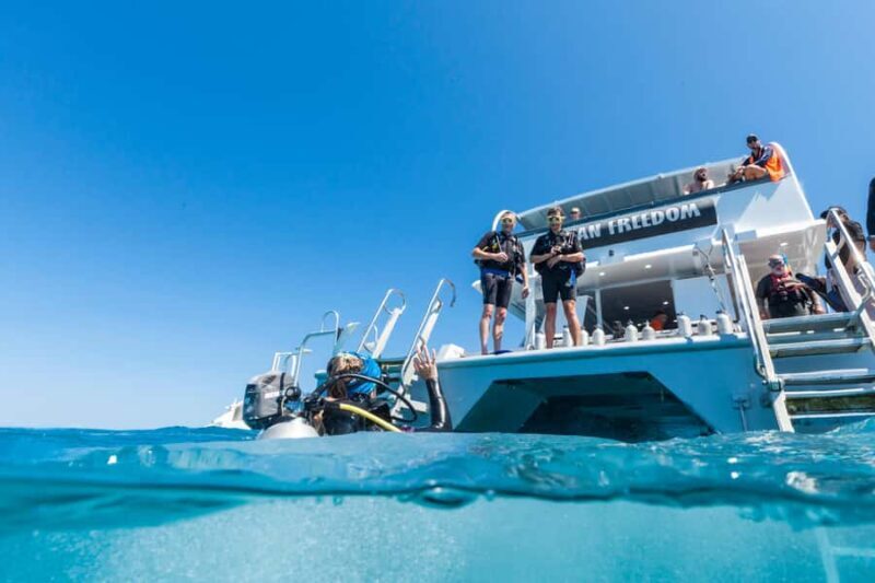 Cairns: Outer and Coral Cay Snorkel and Dive Cruise - Authentic Feedback from Travelers