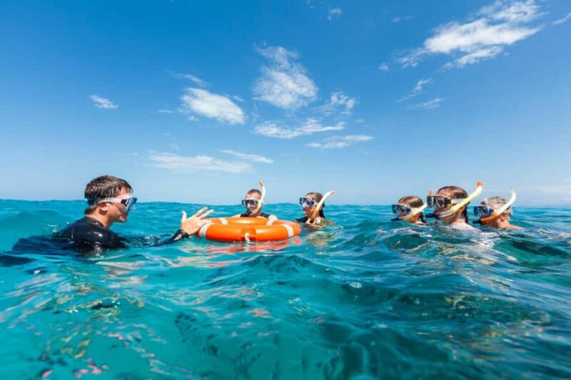 Cairns: Outer and Coral Cay Snorkel and Dive Cruise - The Sum Up