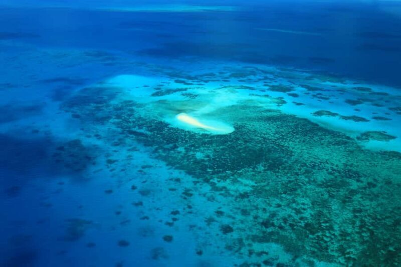 Cairns: Outer Edges of The Great Barrier Reef Scenic Flight - Final Thoughts