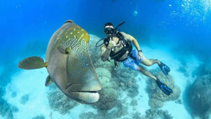 Cairns: Outer Great Barrier Reef Full-Day Tour with Lunch - Authentic Experiences and Review Highlights