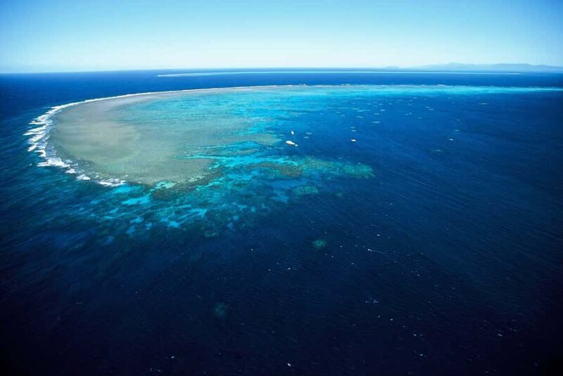 Cairns: Outer Great Barrier Reef Full-Day Tour with Lunch - Practical Tips for Your Reef Trip