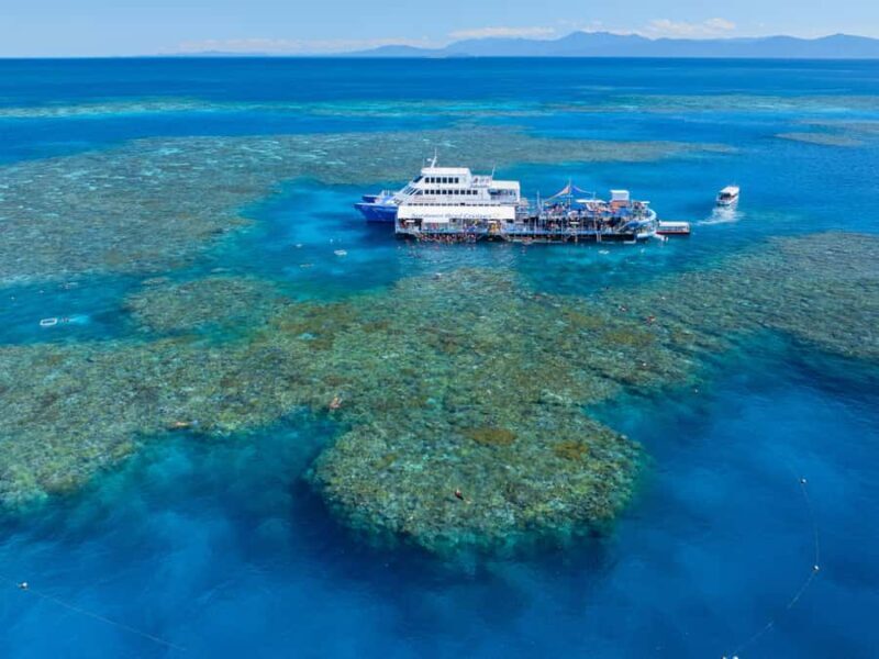 Cairns: Outer Great Barrier Reef Pontoon with Activities - Who Will Love This Tour?
