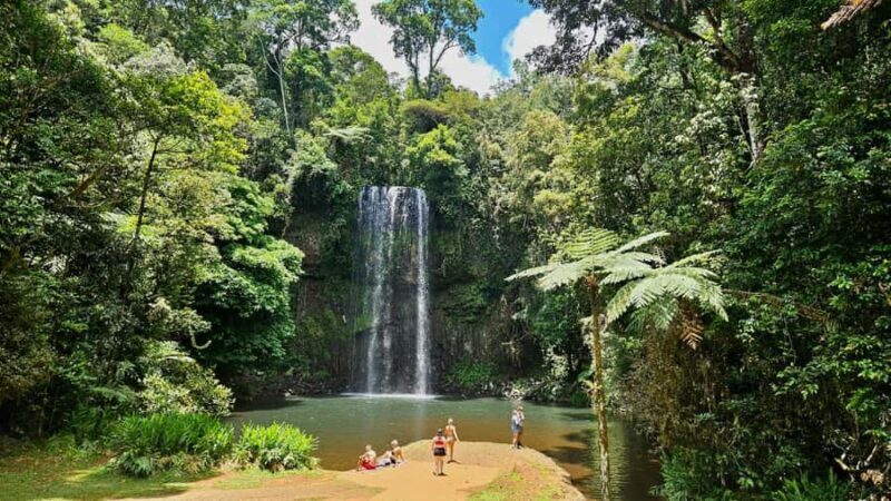Cairns: Paronella, Lake Barrine & Millaa Millaa Falls Tour - A Day Packed with Natural Wonders and Unique Sights