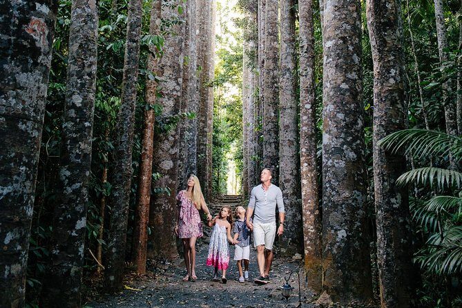 Cairns Paronella Park Herberton and Wild life Tour - Final Thoughts: Is This Tour Right for You?