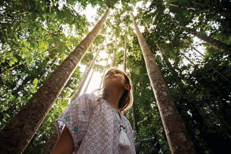 Cairns: Paronella Park Rainforest Full-Day Tour with Dinner - Final Thoughts