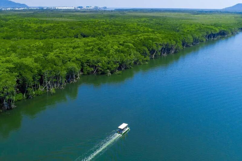 Cairns: Pontoon Boat Hire with Optional BBQ and Fishing Hire - The Sum Up