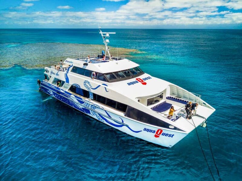Cairns: Premium Snorkelling and Diving Reef Day Trip - Key Points