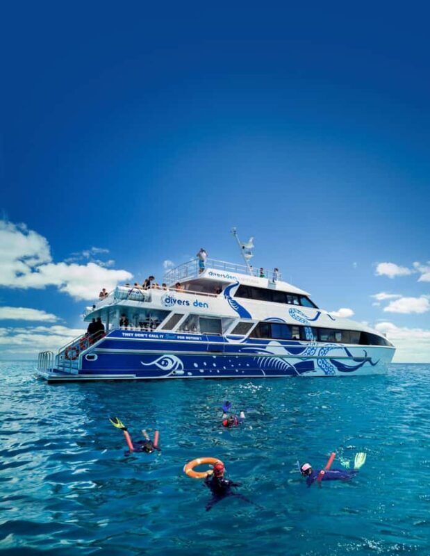 Cairns: Premium Snorkelling and Diving Reef Day Trip - An Authentic Reef Adventure from Cairns