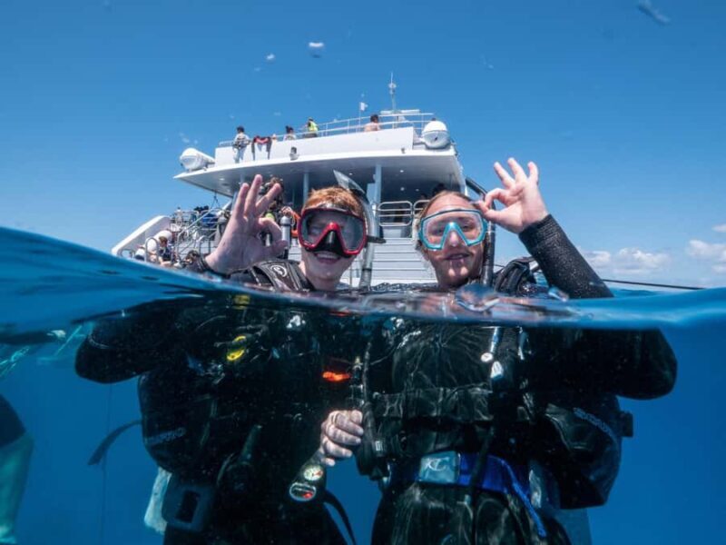 Cairns: Premium Snorkelling and Diving Reef Day Trip - Similar Experiences Worth Considering