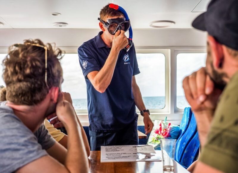 Cairns: Premium Snorkelling and Diving Reef Day Trip - The Sum Up: Is This Tour Right for You?