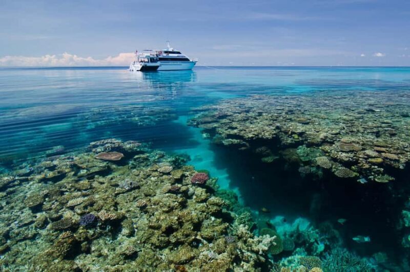 Cairns: Pro Dive 5 Day Learn to Dive Great Barrier Reef - Key Points