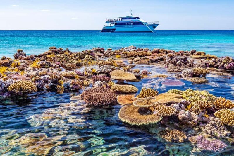 Cairns: Pro Dive 5 Day Learn to Dive Great Barrier Reef - The Practical Side: Group Size, Timing, and Comfort