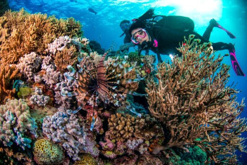 Cairns: Pro Dive 5 Day Learn to Dive Great Barrier Reef - Final Thoughts: Is This Tour for You?