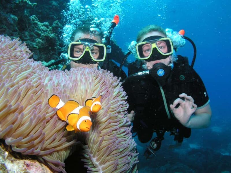 Cairns: Pro Dive Great Barrier Reef 3 Day/2 Night Dive Trip - An In-Depth Look at the Three-Day Reef Experience