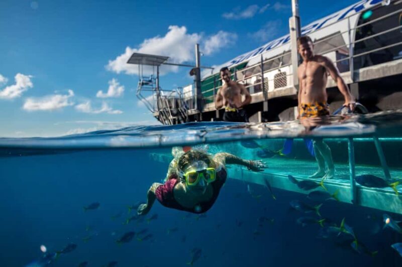 Cairns: Reef Zoom Half Day Helicopter & Snorkeling Tour - Who Is This Tour Best For?