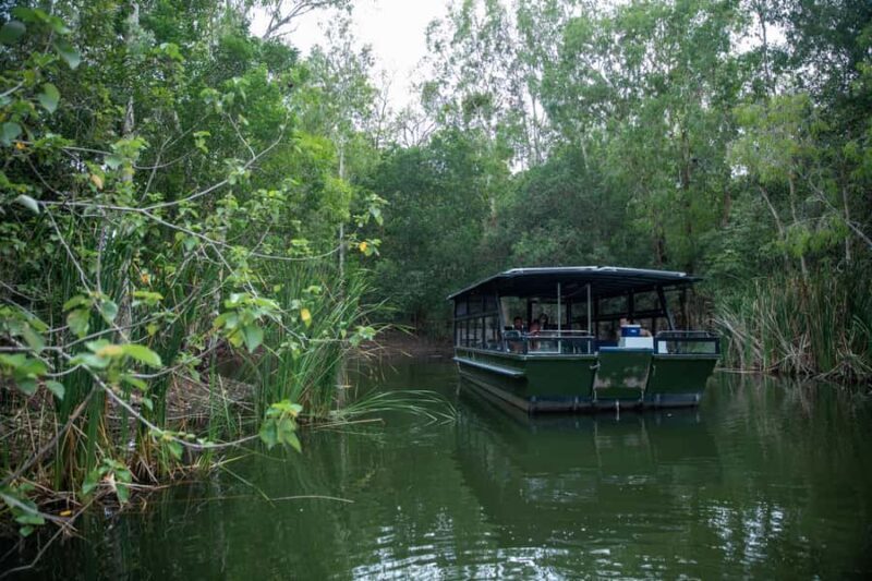 Cairns Shore Excursion: Crocodile & Wildlife Park Tour - The Sum Up