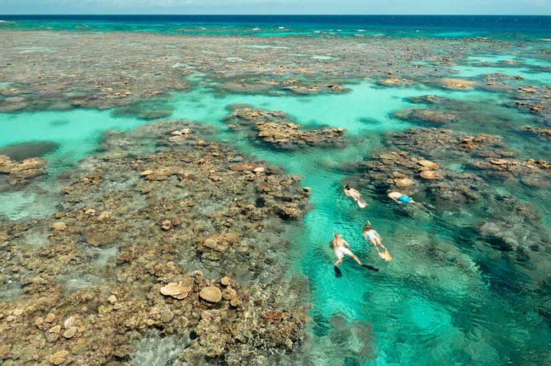 Cairns: Silverswift 3 Great Barrier Reef Sites in 1 Day - Who Should Consider This Tour?
