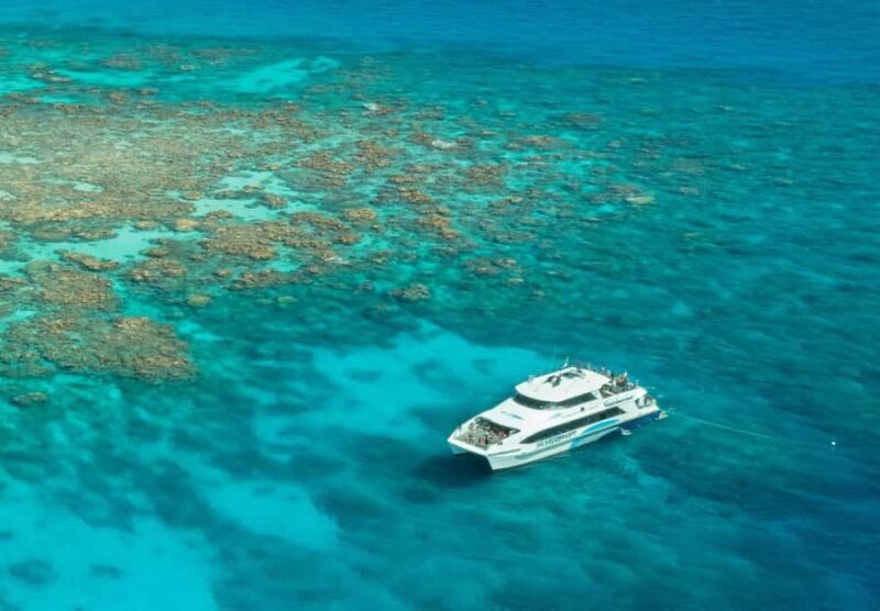 Cairns: Silverswift 3 Great Barrier Reef Sites in 1 Day - The Sum Up