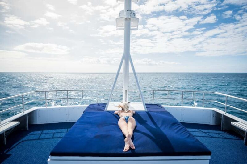 Cairns: Snorkelling and Diving Reef Day Trip - Snorkelling and Diving Options
