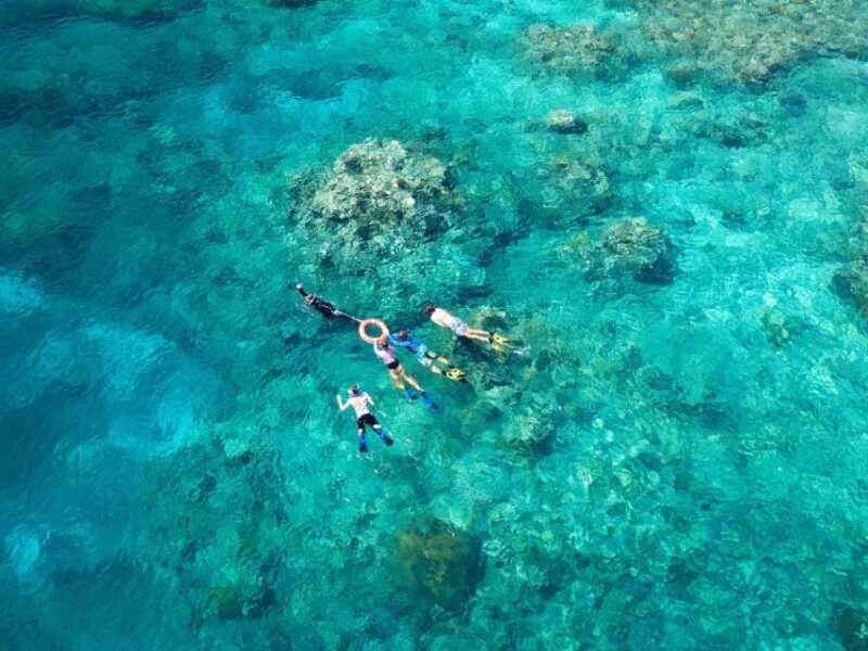 Cairns: Snorkelling and Diving Reef Day Trip - Facilities and Food