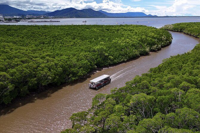 Cairns Sunset Cruise with Indigenous Culture and Canapes - A Closer Look at the Experience