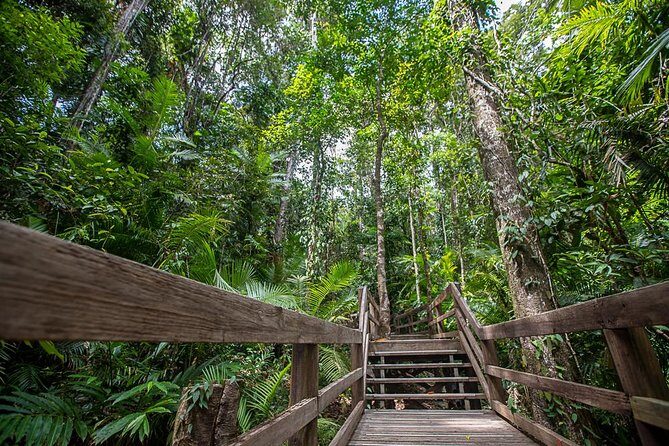 Cairns Super Saver: Reef Cruise, Daintree & Kuranda Rail/Skyrail - Who Should Consider This Tour?