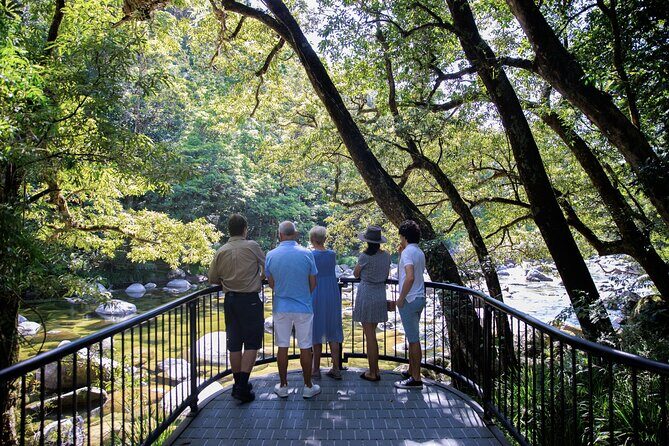 Cairns to Daintree Cape Tribulation 3 Day Tour via Port Douglas - Final Thoughts: Who Will Love This Tour?