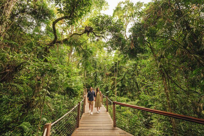 Cairns to Daintree Cape Tribulation 3 Day Tour via Port Douglas - Final Words