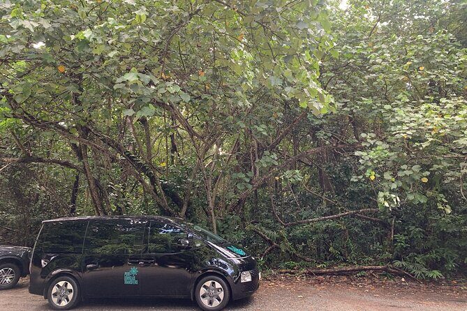 Cairns to Mission Beach ONE WAY Private Transfer 6 pax - Final Thoughts: Is It Worth It?