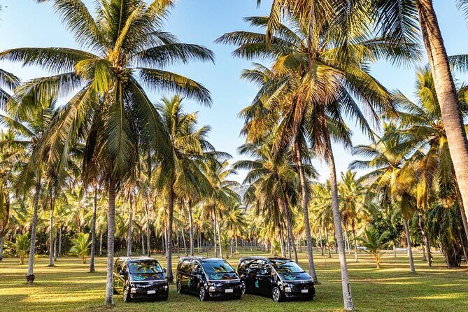 Cairns to Mission Beach ONE WAY Private Transfer 6 pax - FAQ