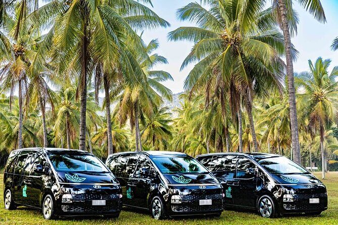 Cairns to Port Douglas ONE WAY Private Transfer 6 pax - Authentic Experiences and the Driver’s Role