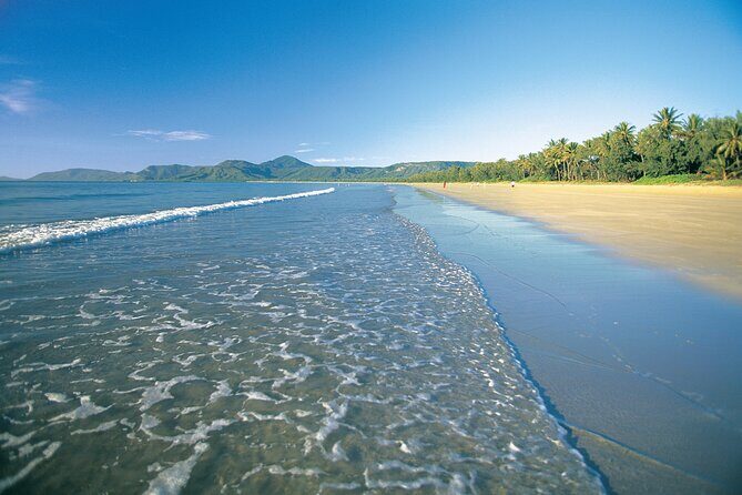 Cairns to Port Douglas ONE WAY Private Transfer 6 pax - Why We Believe It’s a Good Choice