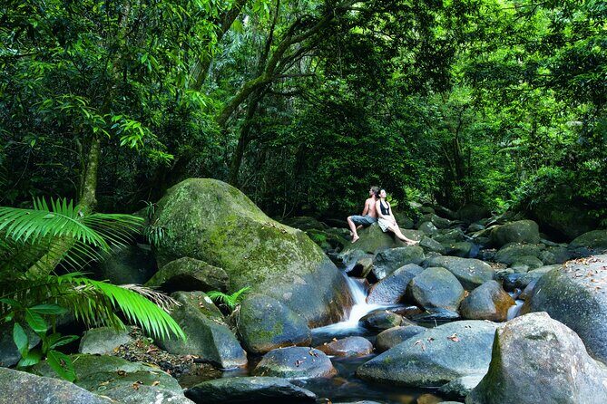 Cairns to Port Douglas ONE WAY Private Transfer 6 pax - Who This Transfer Is Best For