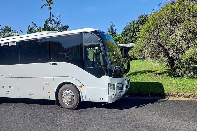 Cairns to Port Douglas Private Transfer - Key Points