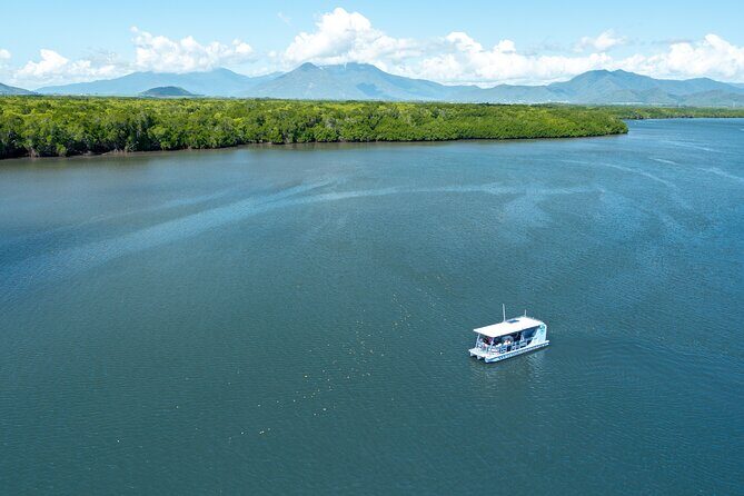 Cairns Trinity Inlet Sightseeing Safari - Key Points
