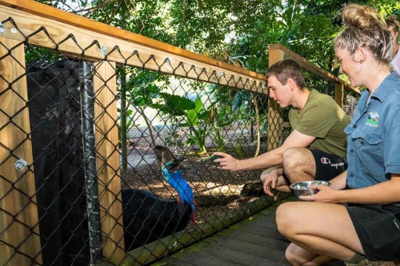 Cairns: Wildlife Habitat, Mossman Gorge, and Daintree Tour - An In-Depth Look at the Tour
