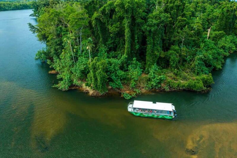 Cairns: Wildlife Habitat, Mossman Gorge, and Daintree Tour - Practical Details and Traveler Tips