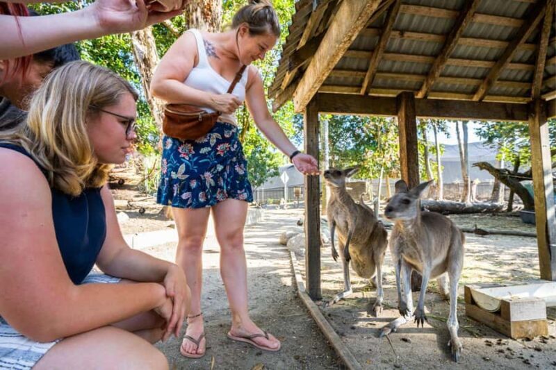 Cairns: Wildlife Habitat, Mossman Gorge, and Daintree Tour - FAQ
