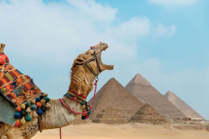 Cairo: 12-Day Egypt Highlights Private Tour w/ Accommodation - The Practicalities: What’s Included and What to Know