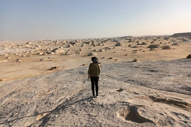 Cairo: 2-Day Bahariya Oasis Tour & White and Black Deserts camping - Who Should Consider This Tour?