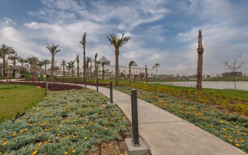Cairo: 3-Day Highlight Tours - Final Thoughts