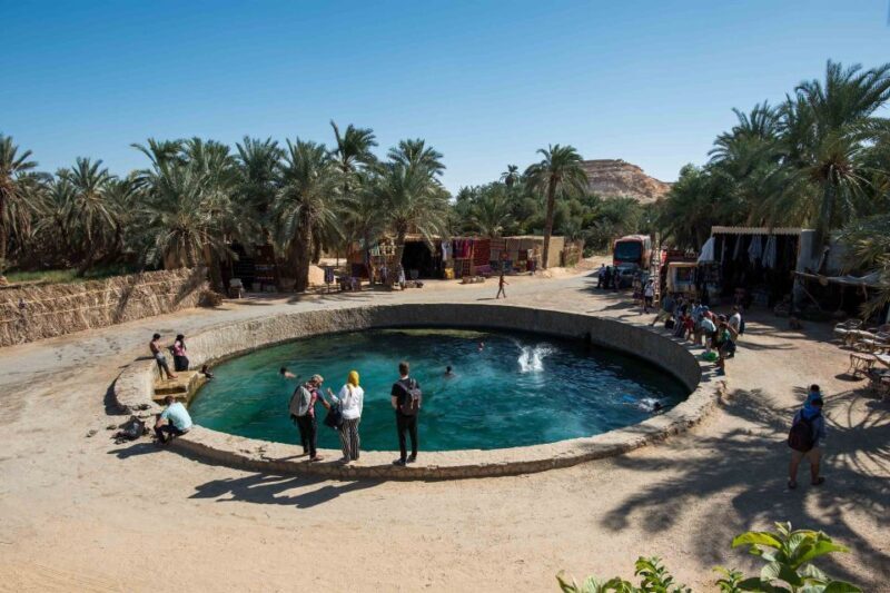 Cairo: 3-Day Siwa Oasis Tour, Safari, Camp & Historical Site - The Bottom Line: Who Should Consider This Tour?