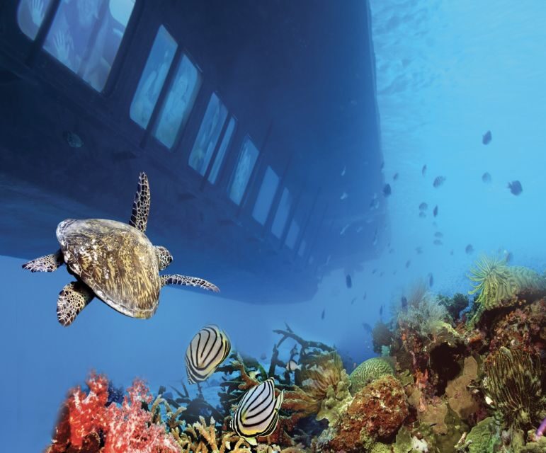 Cairo: Ain Sokhna Semi-Submarine with optional Transfer - The Sum Up