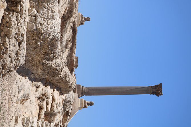 Cairo: Alexandria Over Day Tour From Cairo - Full day Tour - The Sum Up