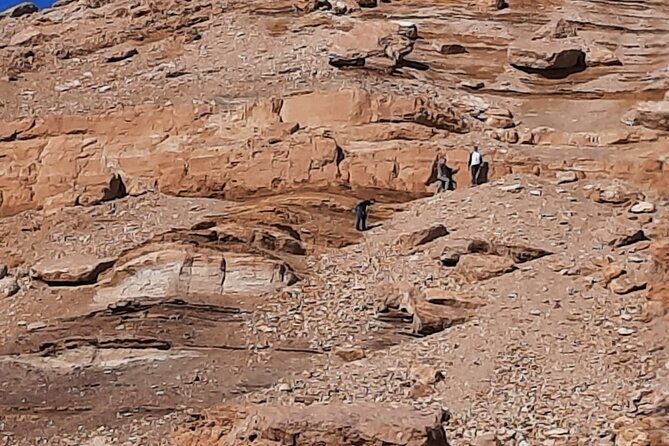 Cairo day tour to El Fayoum - Key Points