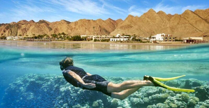 Cairo: Day Tour to the Red Sea with Lunch - Extensive Review of the Cairo Red Sea Day Trip