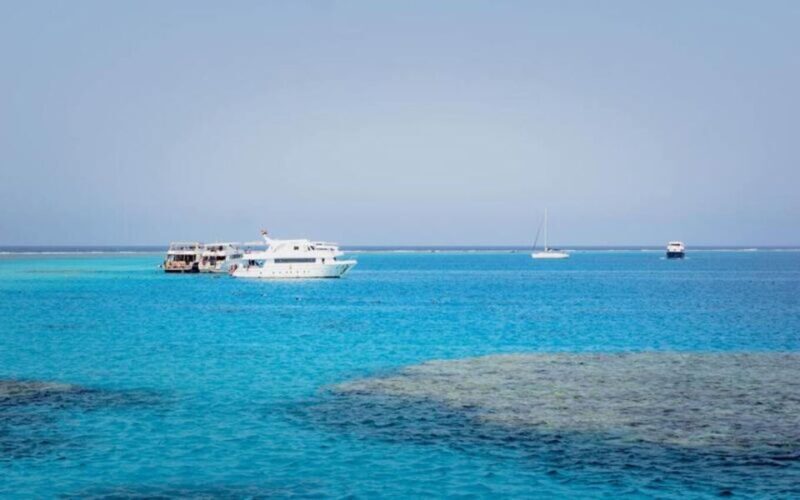 Cairo : Day trip at the red sea at Stella Di Mare - An Introduction to the Red Sea Day Trip Experience