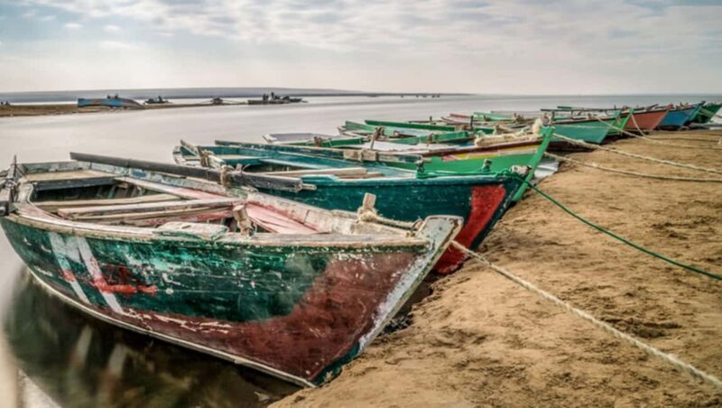 Cairo: Fayoum, Wadi El Rayan, and Wadi al Hitan 4x4 Tour - Key Points