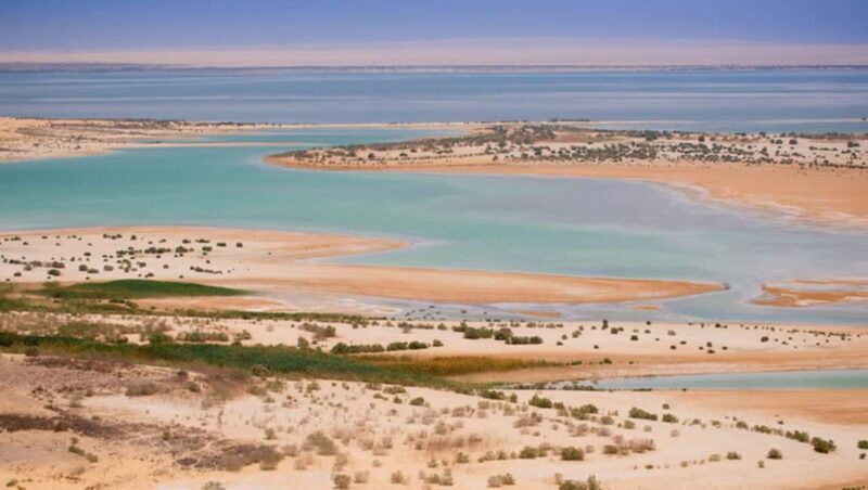 Cairo: Fayoum, Wadi El Rayan, and Wadi al Hitan 4x4 Tour - A Deep Dive into the Fayoum 4x4 Adventure
